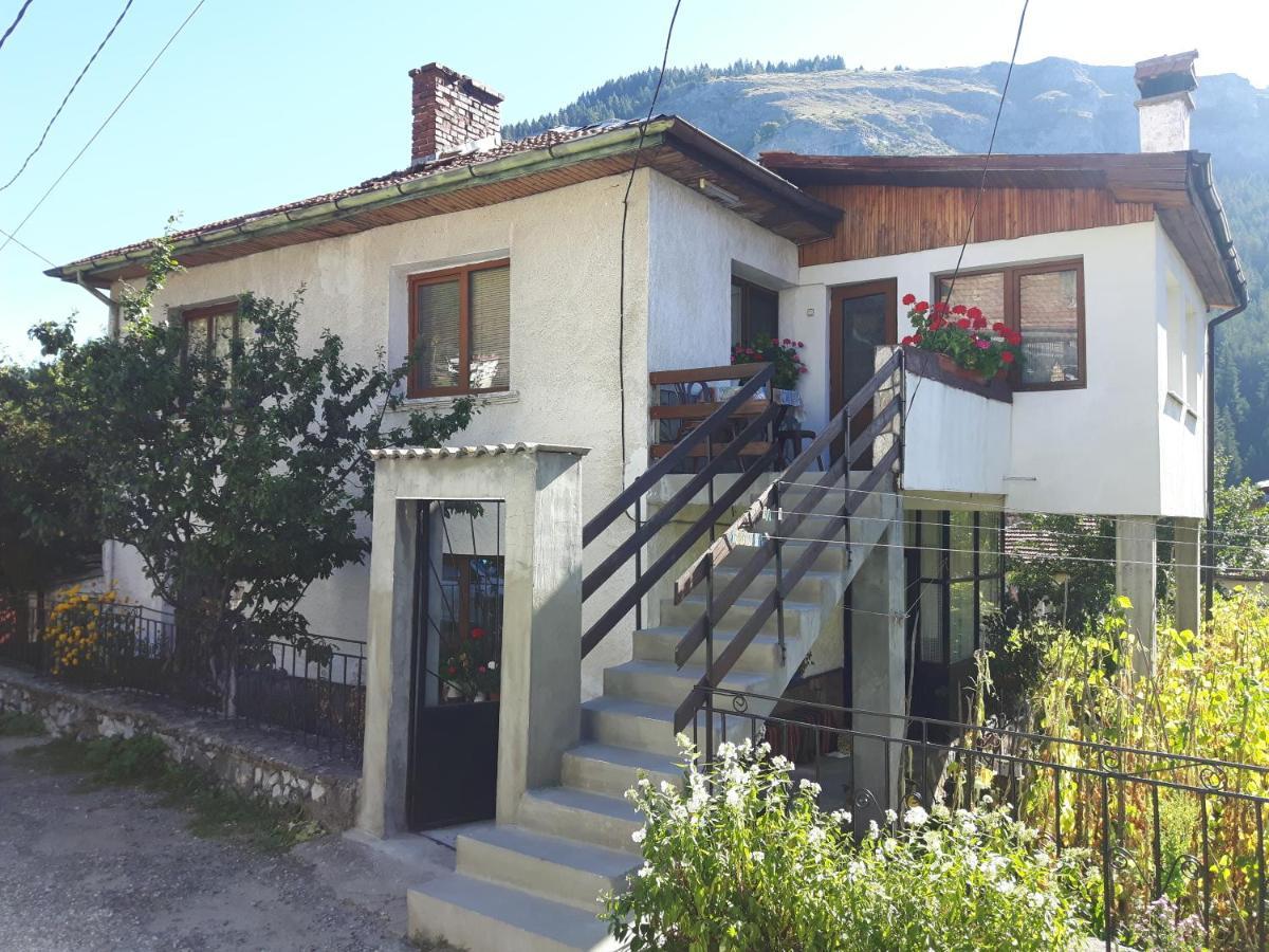 Guest House Denitsa Trigrad Exterior foto